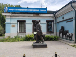 Служба ветеринарии зафиксировала 94 нарушения правил утилизации биологических отходов