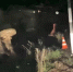 В Усольском районе водитель грузовика погиб в ДТП (Видео) - Weacom.Ru