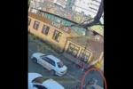 В Бодайбо мужчина принял краснокнижных лебедей за гусей и открыл стрельбу