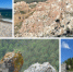Программу открытия "Звёзд на Байкале" изменили в память о композиторе Щедрине - IrkutskMedia.Ru