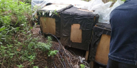 Фото: ИЭСК - SIA.RU