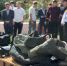 В школе №73 Иркутска прошел Всероссийский открытый урок по пожарной безопасности - КП-Иркутск