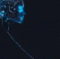 Россия с партнёрами по AI Alliance Network создаёт систему регулирования ИИ под эгидой ООН - IrkutskMedia.Ru