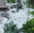 Заморозки на подходе - до 0°C похолодает в Иркутской области 5 сентября - IrkutskMedia.Ru