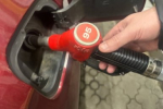 В Иркутской области произвели полмиллиарда яиц с начала года
