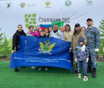 Судебные приставы Приангарья приняли участие в акции по посадке деревьев