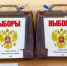 Руслан Болотов проголосовал на выборах губернатора Иркутской области - IrkutskMedia.Ru
