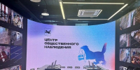 71,5% избирателей, принявших участие в экзитполах, высказались за кандидата «Единой России» Игоря Кобзева - Единая Россия