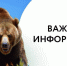 Информация, которую необходимо сообщить при обнаружении медведей, создающих угрозу  жизни и здоровью людей, подлежащая передаче  для принятия неотложных мер реагирования - Служба по охране и использованию объектов животного мира