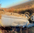 16-летний водитель погиб в ДТП в Усольском районе - КП-Иркутск