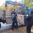 В ближайшее время жители пострадавшего от взрыва бытового газа дома в Ангарске получат выплаты - Правительство Иркутской области