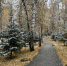 Снег в Иркутске. Фото IRK.ru - Irk.Ru