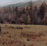 Жителей Бурятии не допустят в Худакский заказник - Baikal24.Ru