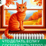 Что делать, если у соседей есть тепло, но в моей квартире холодно - Министерство жилищной политики и энергетики