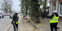 В Иркутске ежедневно убирают опавшую листву - Baikal24.Ru