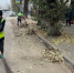 В Иркутске продолжается уборка улиц - Weacom.Ru