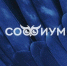 Навстречу «Софиуму» - Избирательная комиссия