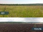 В Заларинском районе по предписанию Россельхознадзора введены в сельхозоборот 656 гектаров пашни