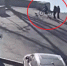 В Иркутске пожилой велосипедист переехал щенка корги (Видео) - Weacom.Ru