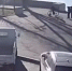 Полиция разыскивает свидетелей наезда велосипедиста на собаку в Иркутске - ИА ИркСиб