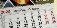 Гороскоп на 22 октября: Тельцам творчески смотреть на проблемы, Весам творить добро - IrkutskMedia.Ru