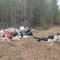 Свалка в лесу. Фото пресс-службы правительства Иркутской области - Irk.Ru