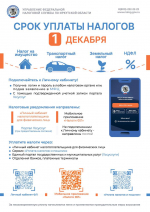 До 1 декабря 2025 года необходимо исполненить налогововые обязательства
