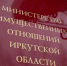 Социальные выплаты взамен земельного участка в Иркутской области в 2025 году получили 410 многодетных семей - Сибирские новости