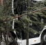 Фото: полиция Иркутской области - SIA.RU