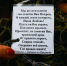 image - Газета Иркутск