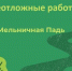 Вторые сутки энергетики ведут битву за свет для садоводов Мельничного тракта - Baikal24.Ru
