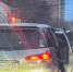 В Приангарье выявили незаконные рубки на 1,1 млн рублей ущерба - IrkutskMedia.Ru