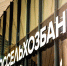 В Сибири Фонд «Экология» РСХБ выпустил 163 тыс. мальков м посадил 60 тыс. деревьев - SIA.RU