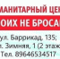 Центр "Своих не бросаем" при поддержке депутата Думы Иркутска отправил груз в зону СВО - Baikal24.Ru