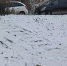 Лестница. Скриншот видео очевидцев - Irk.Ru