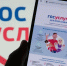 В погоне за личными данными кибержулье подделывает «Госуслуги» и не только - Иркутская торговая газета