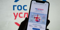 В погоне за личными данными кибержулье подделывает «Госуслуги» и не только - Иркутская торговая газета