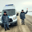 Алтайские таможенники пресекли вывоз в Казахстан 44 лошадей и 30 коров - Baikal24.Ru