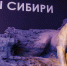 За кулисами археологической выставки «Сны Сибири». - Служба по охране объектов культурного наследия