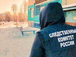 Бывшего главу Тайшетского района осудили за халатность при организации отлова и содержания бездомных собак