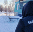 В Тайшете экс-главу района оштрафовали за халатность с бродячими собаками - КП-Иркутск