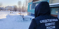 В Тайшете экс-главу района оштрафовали за халатность с бродячими собаками - КП-Иркутск
