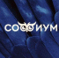 Первый тур «Софиума» - Избирательная комиссия
