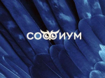 Первый тур «Софиума»