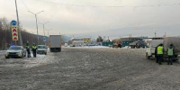 Ветеринарный "блок-пост" между Бурятией и Приангарьем оправдывает свое существование - Baikal24.Ru