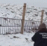 В Братске расследуют гибель сотрудника полигона после нападения собак - Baikal24.Ru