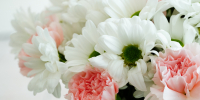 Поздравление Александра Ведерникова с Днем матери - Законодательное Собрание