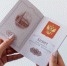 Пенсии россиян защитят от чрезмерных списаний по долгам - IrkutskMedia.Ru