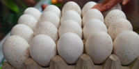 В Иркутской области закрепили цены на местные продукты - КП-Иркутск
