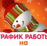 Открыта запись на новогодние праздники! - ИДЦ